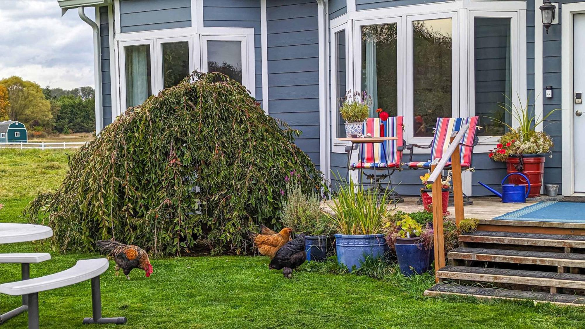 Sq Sequim Sunrise Apartment Exterior foto